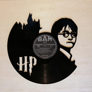Harry Potter picture disque vinyle - Harry Potter